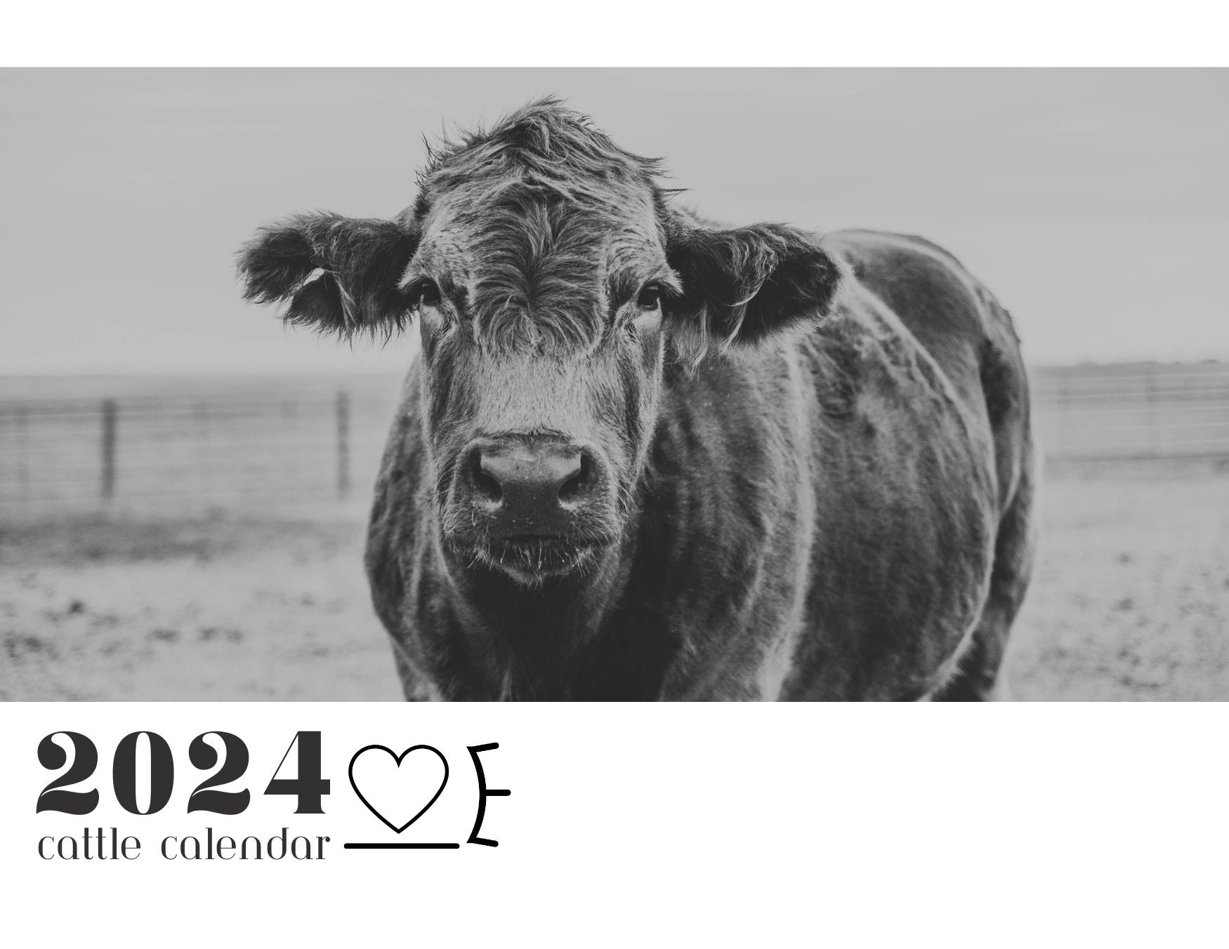 2024 Limited Edition Cattle Calendar Miss. Miller's Photography