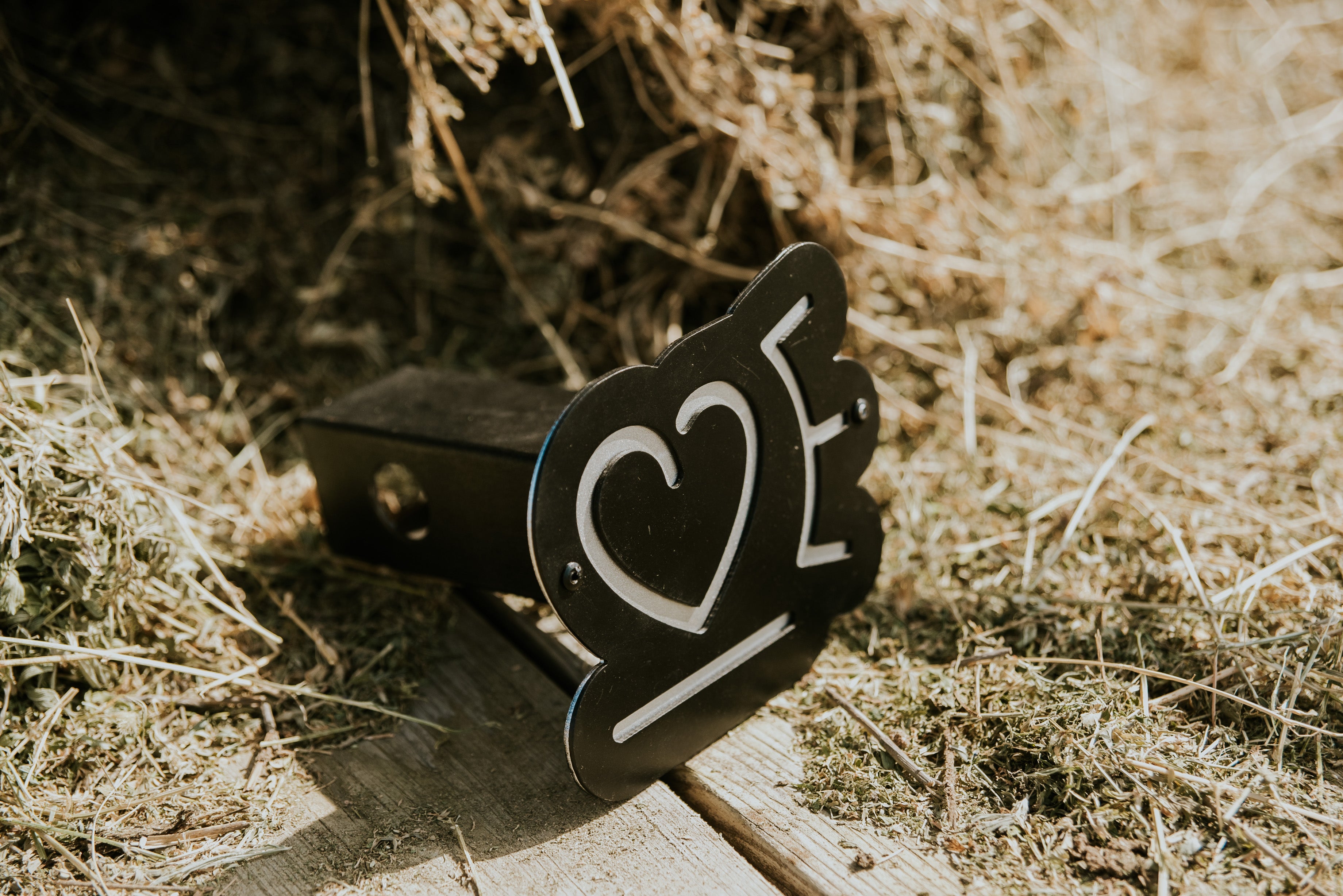 Custom Cattle Brand Hitch Cover - DIY Cut