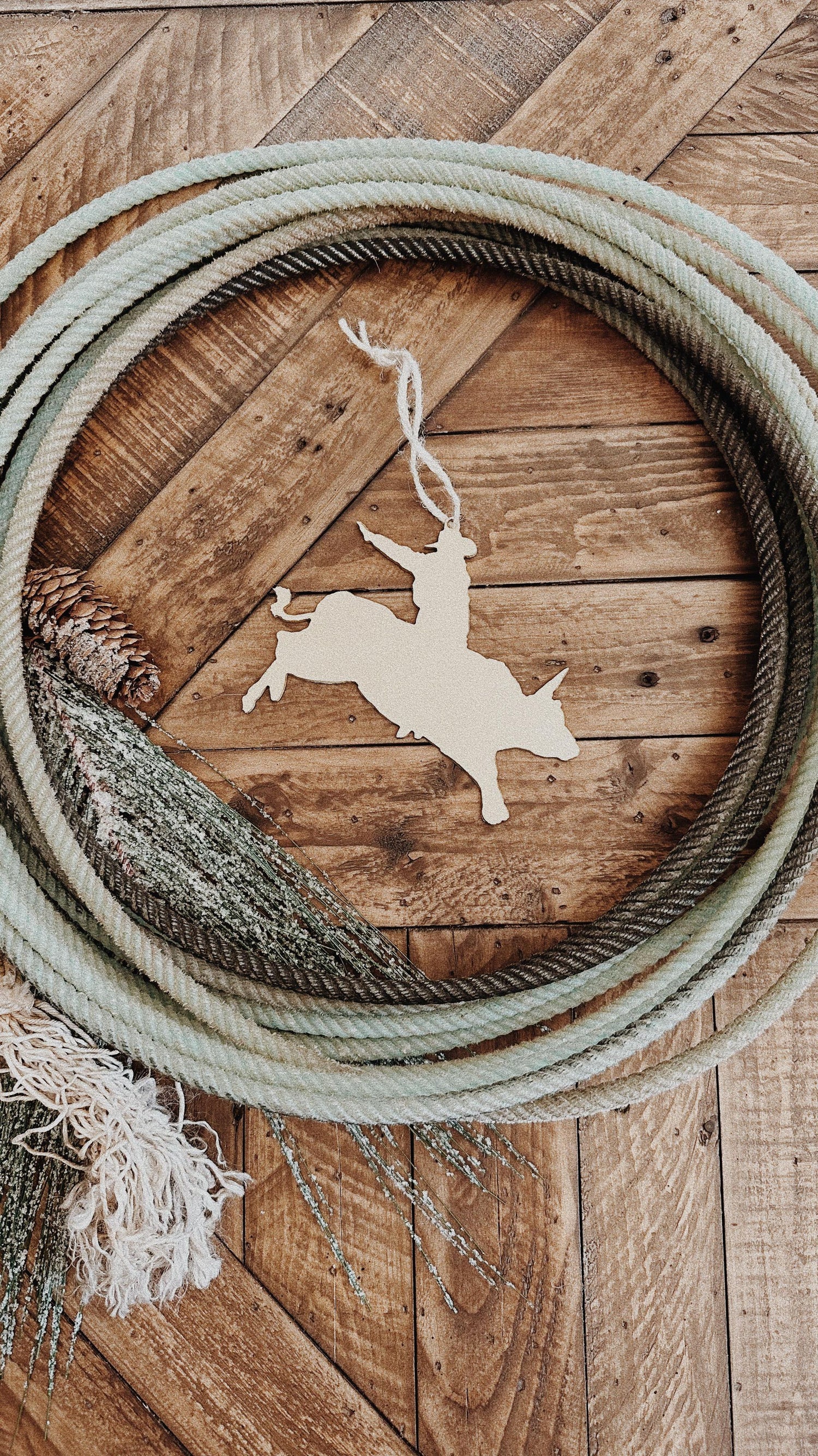 Bull Rider Ornament 4 Pack