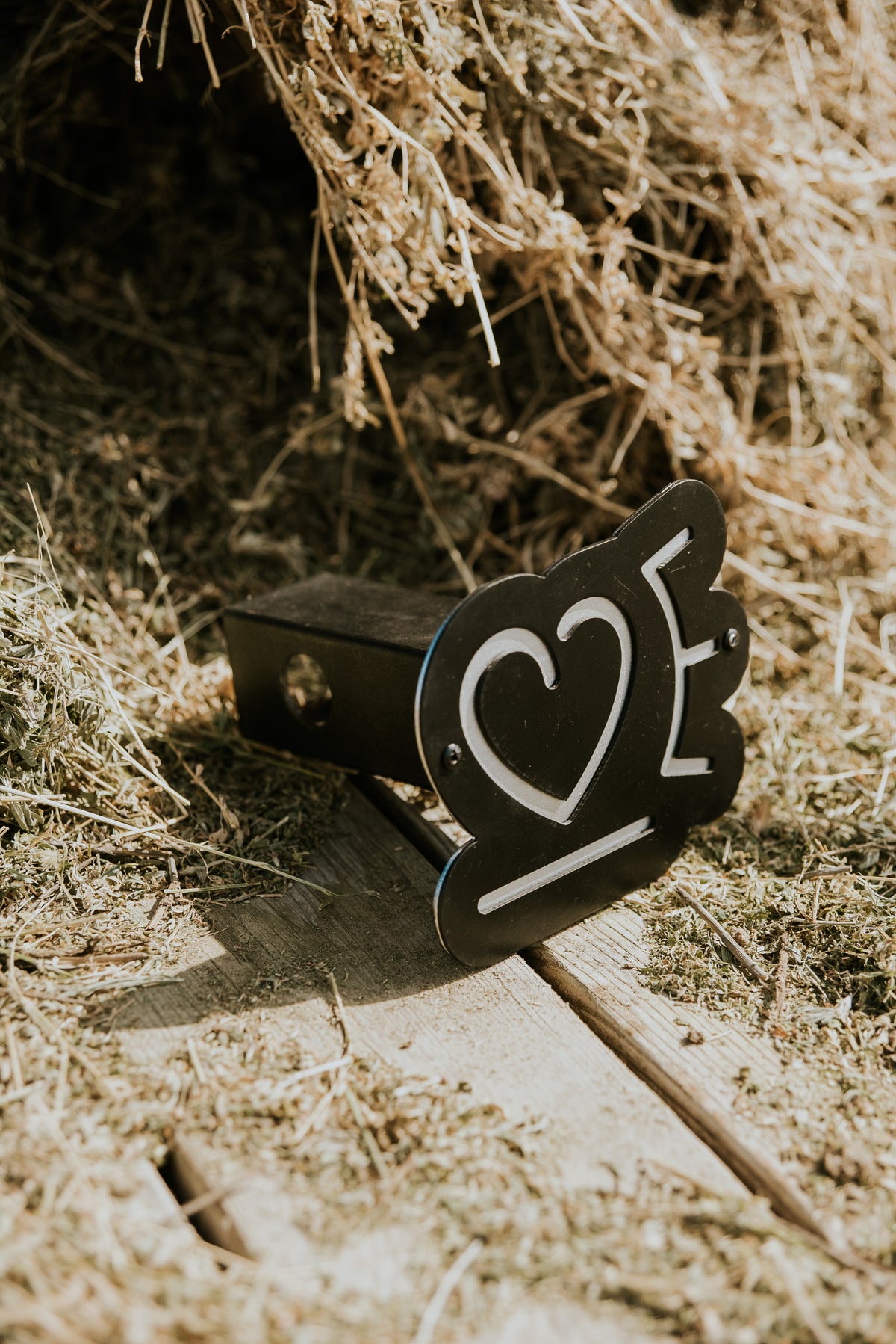 Custom Cattle Brand Hitch Cover - DIY Cut