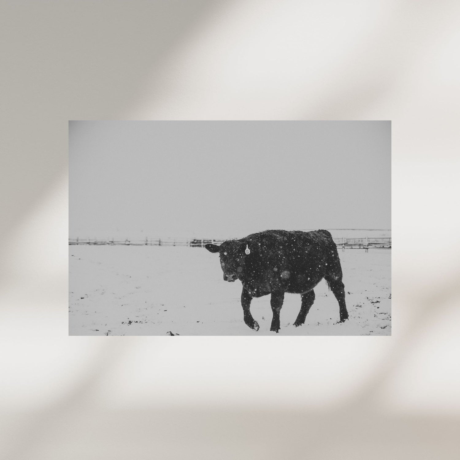 Feedlot Winters Wrapped Canvas